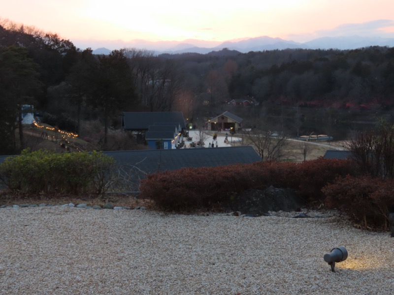 日和田山、物見山